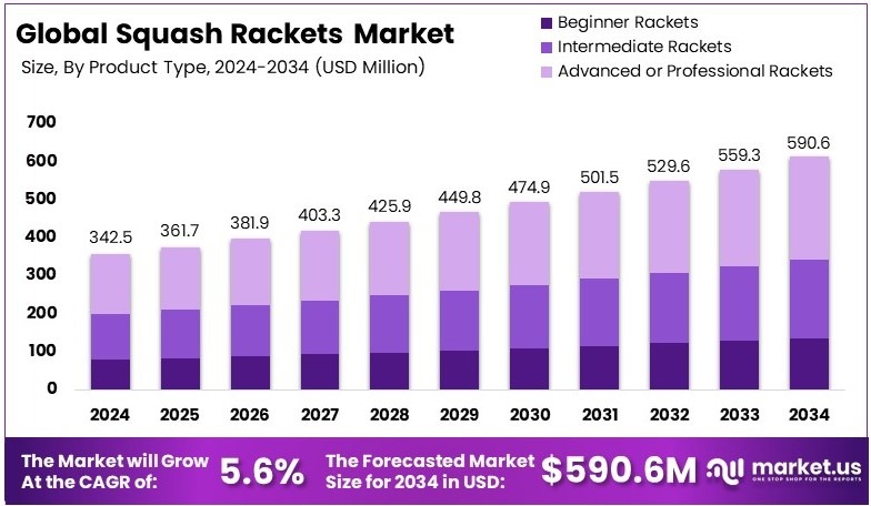 壁球拍市场(2025-2034)