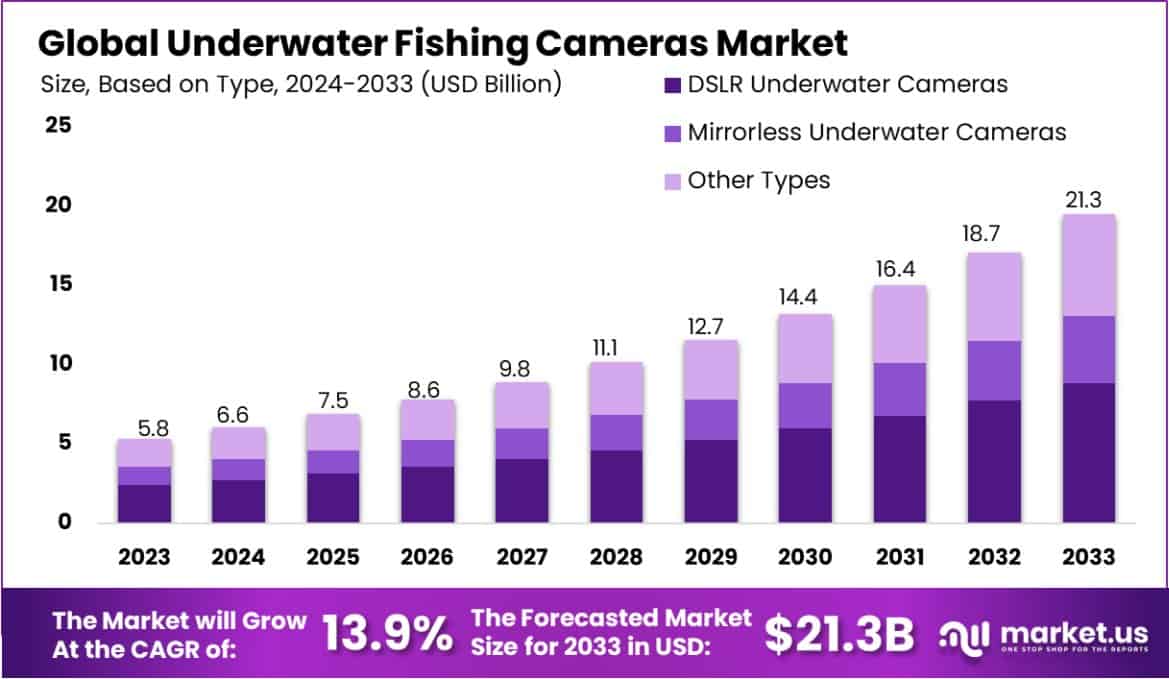 水下钓鱼相机市场(2024-2033)