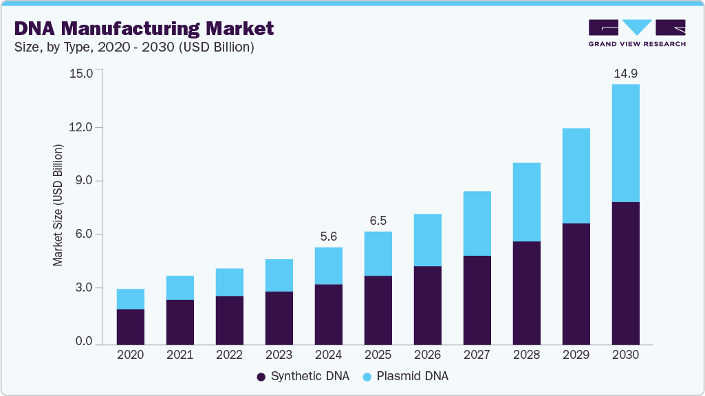 DNA 制造市场 (2025 - 2030)