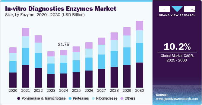体外诊断酶市场（2025 - 2030）