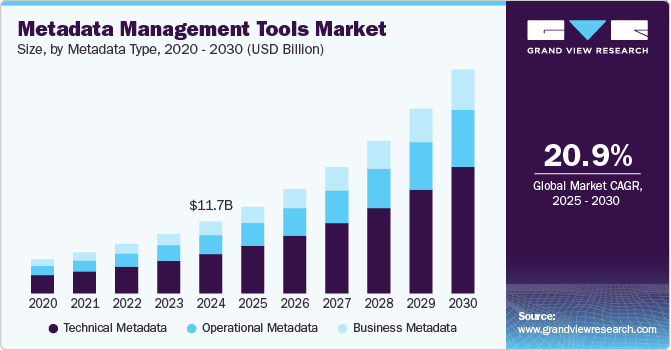 元数据管理工具市场（2025 - 2030）