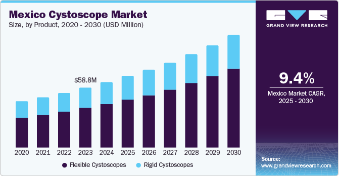 膀胱镜市场 (2025 - 2030)