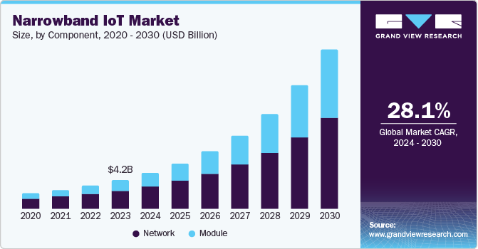 窄带物联网市场（2024 - 2030）