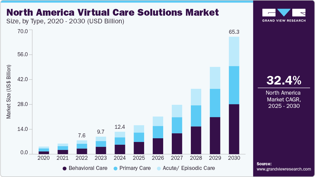 北美虚拟护理解决方案市场（2025 - 2030）