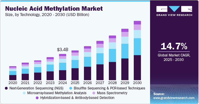 核酸甲基化市场（2025 - 2030）