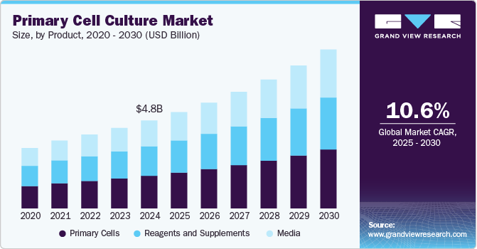 原代细胞培养市场（2025 - 2030）