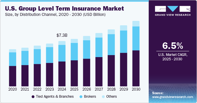 美国团体级定期保险市场（2025 - 2030）